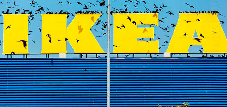 В Украине приходу IKEA будут содействовать на уровне кабинета министров