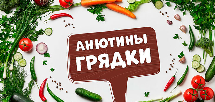 Агрокомбинат «Ждановичи» запустил новую линейку органических продуктов «Анютины грядки»