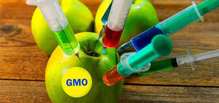 Маркировка пищевых продуктов с ГМО стала обязательной с 26 июня