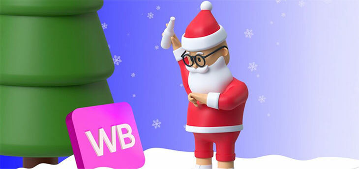 Чем в канун Нового года белорусы наполняли корзины на Wildberries