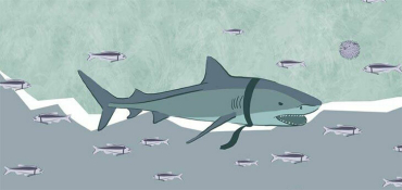 МАРТ проанализирует рынок e-commerce и определит доминантов