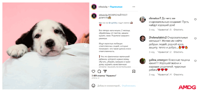  Digital Review апрель 2023 активность белорусских брендов в социальных сетях