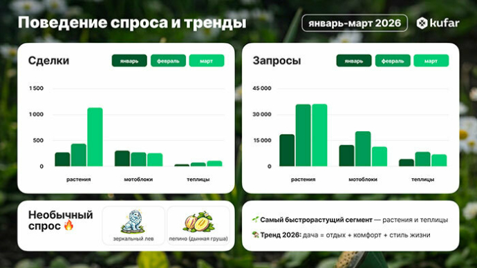 Что покупают белорусы накануне дачного сезона 2026 года