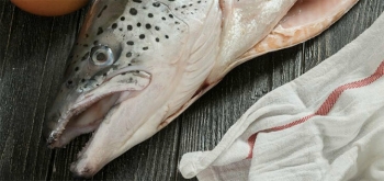 У «Санта Бремор» начались проблемы с норвежским лососем