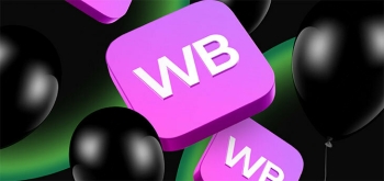 Книги, конфеты и… кирпичи: итоги «Черной пятницы» в Беларуси на Wildberries