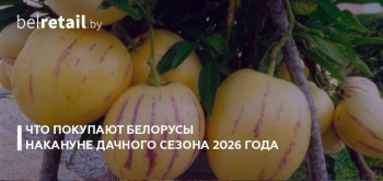 Что покупают белорусы накануне дачного сезона 2026 года