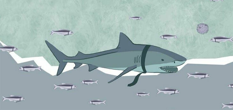 МАРТ проанализирует рынок e-commerce и определит доминантов